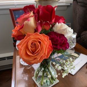 Meet your Posher, Elaine